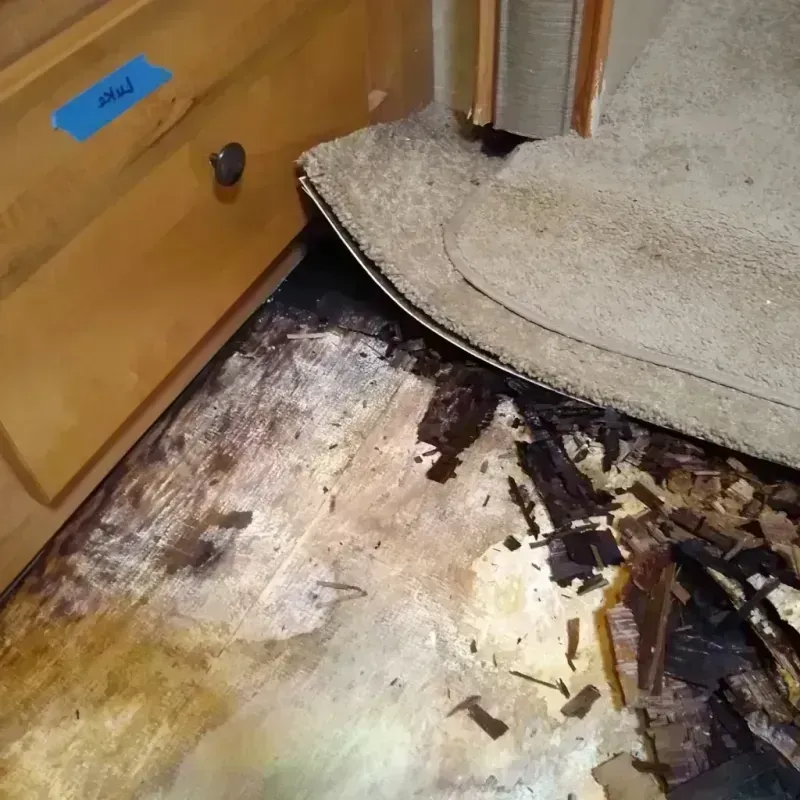 Wood Floor Water Damage in Chiefland, FL